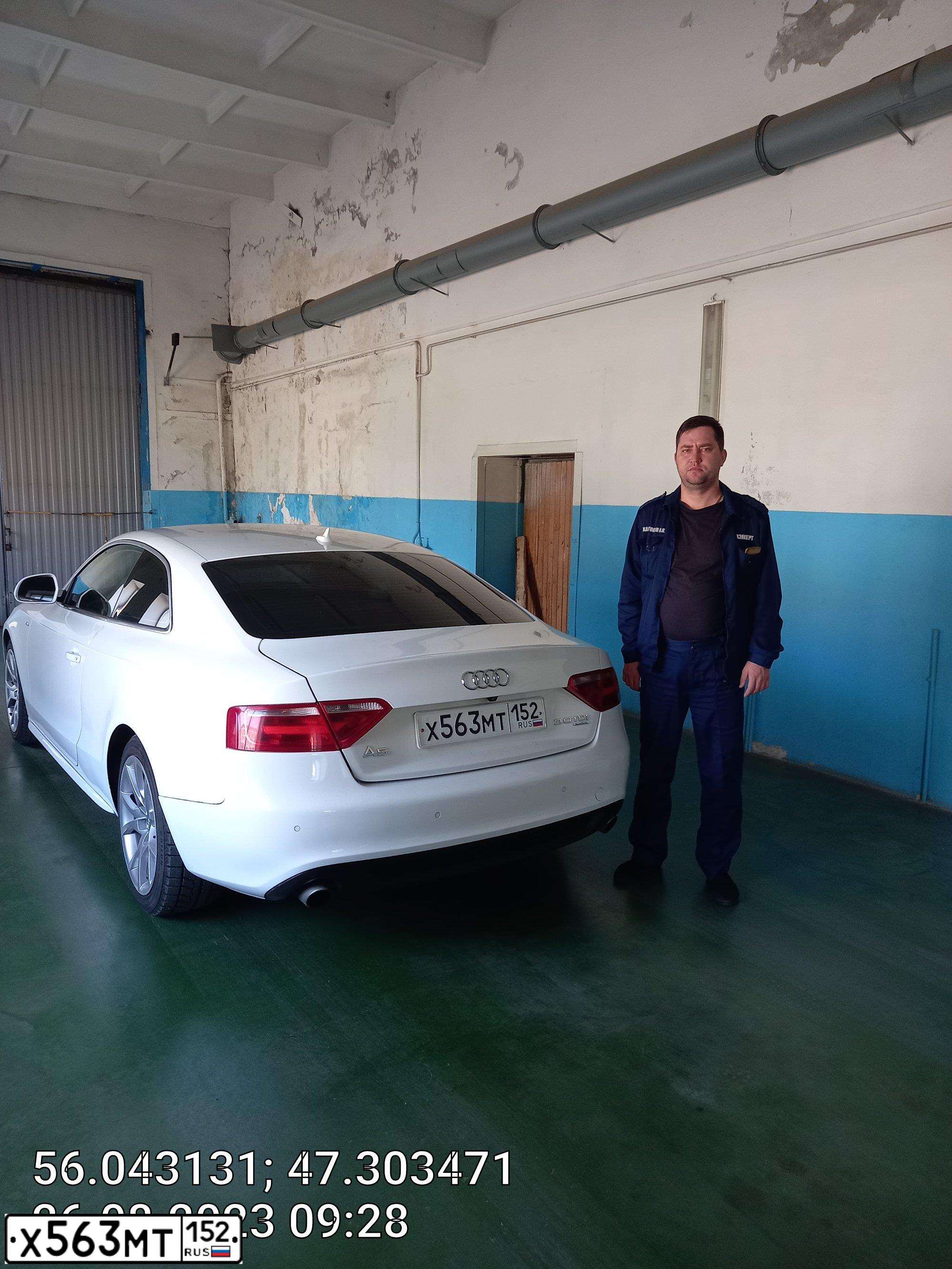 Фото автомобиля AUDI A5, 2009 — госномер М307КК21. Цвет: Белый