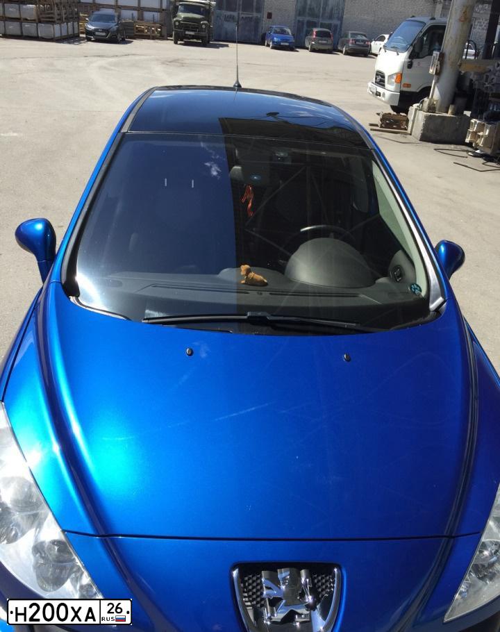 Фото автомобиля PEUGEOT T 308, 2010 — госномер Е697ЕМ126. Цвет: СИНИЙ