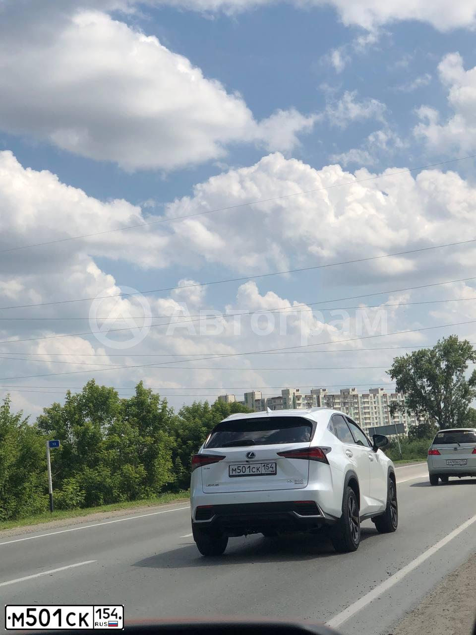 Фото автомобиля LEXUS NX200, 2020 — госномер Р228НВ159. Цвет: Белый