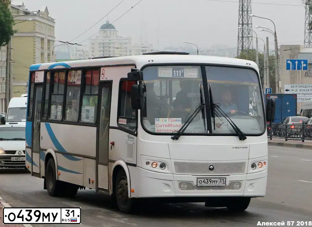 Фото автомобиля PAZ 3204, 2017 — госномер О439МУ31. Цвет: Белый