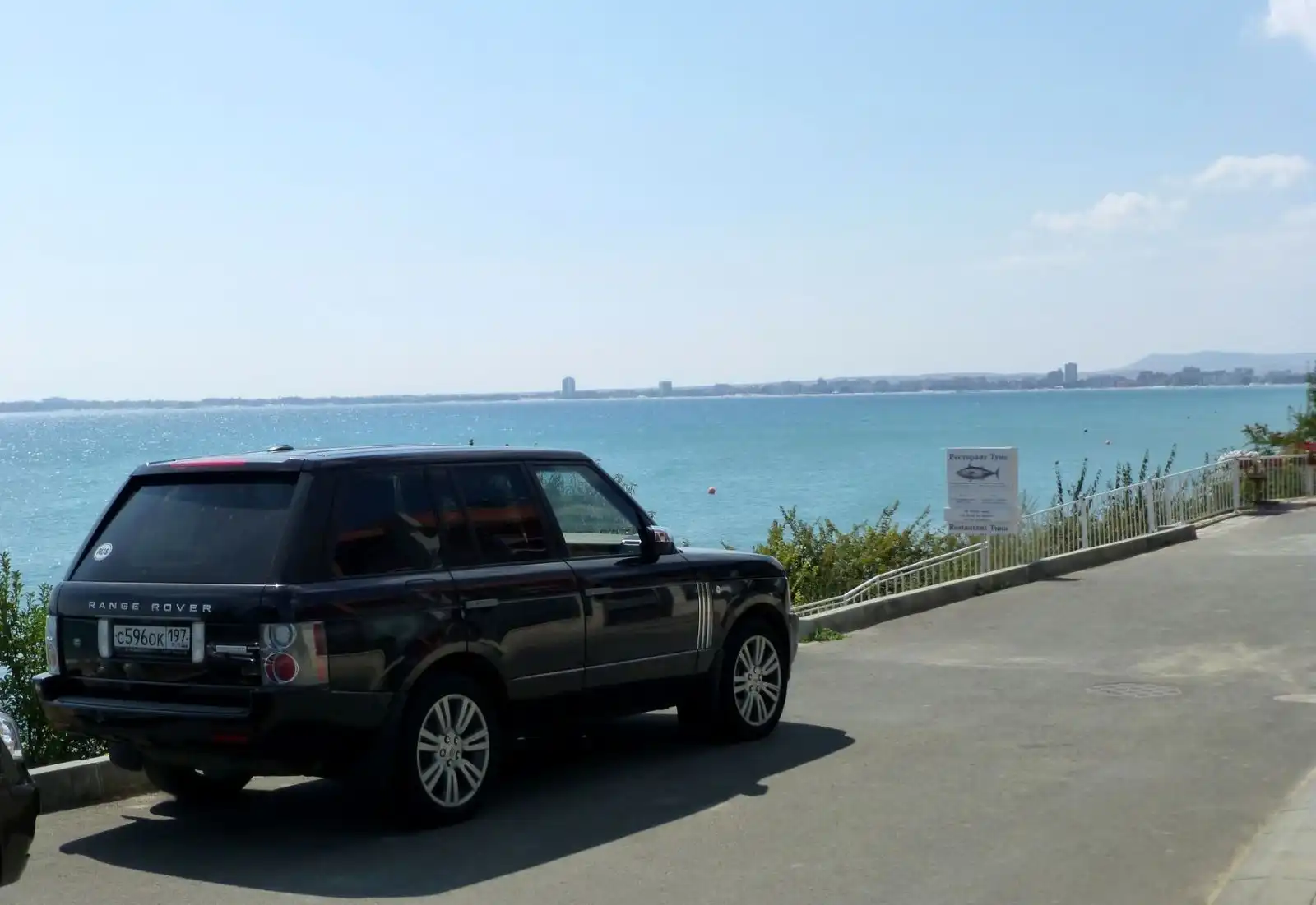 Фото автомобиля LANDROVER RANGE ROVER, 2009 — госномер Е077ТК199. Цвет: КОРИЧНЕВЫЙ ТЕМНЫЙ