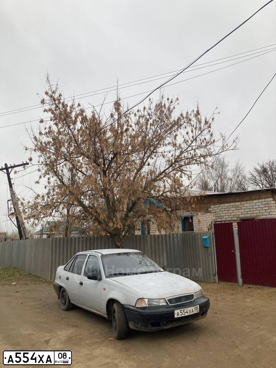 Фото автомобиля DAEWOO NEXIA, 1999 — госномер А554ХА08. Цвет: ПЕРЛАМУТРОВО-БЕЖ.