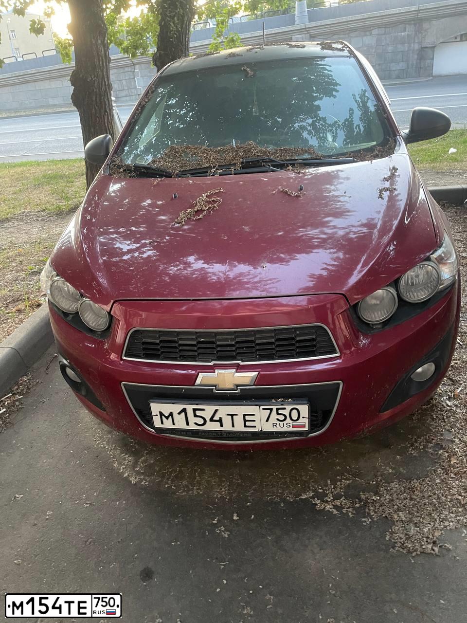 Фото автомобиля CHEVROLET AVEO, 2014 — госномер Т990МВ136. Цвет: КРАСНЫЙ МЕТАЛЛИК