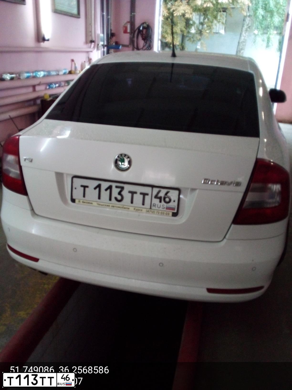 Фото автомобиля SKODA OCTAVIA, 2012 — госномер Т113ТТ46. Цвет: Белый