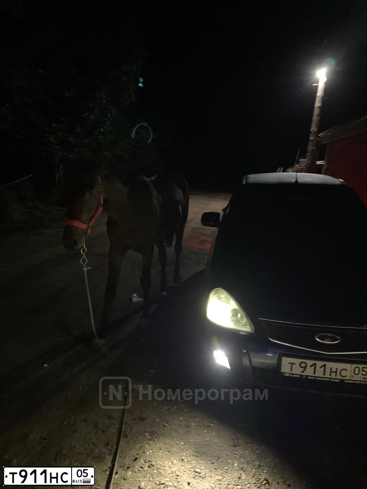 Фото автомобиля LADA 2172 PRIORA, 2010 — госномер Т911НС05. Цвет: СИНЕ-ЧЕРНЫЙ