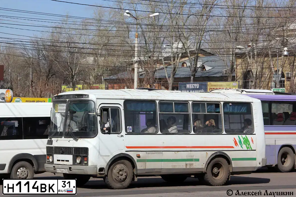 Фото автомобиля PAZ 3205, 2004 — госномер Н114ВК36. Цвет: БЕЛО-ЗЕЛЕНЫЙ