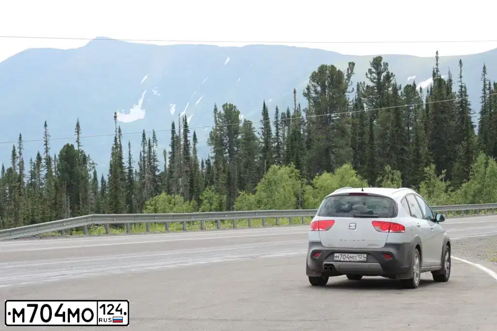 Фото автомобиля SEAT ALTEA 4 FREETRACK, 2012 — госномер К311АС156. Цвет: СЕРЕБРИСТЫЙ