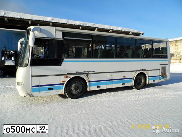 Фото автомобиля ПАЗ 4230-02, 2005 — госномер О500МС59. Цвет: Белый
