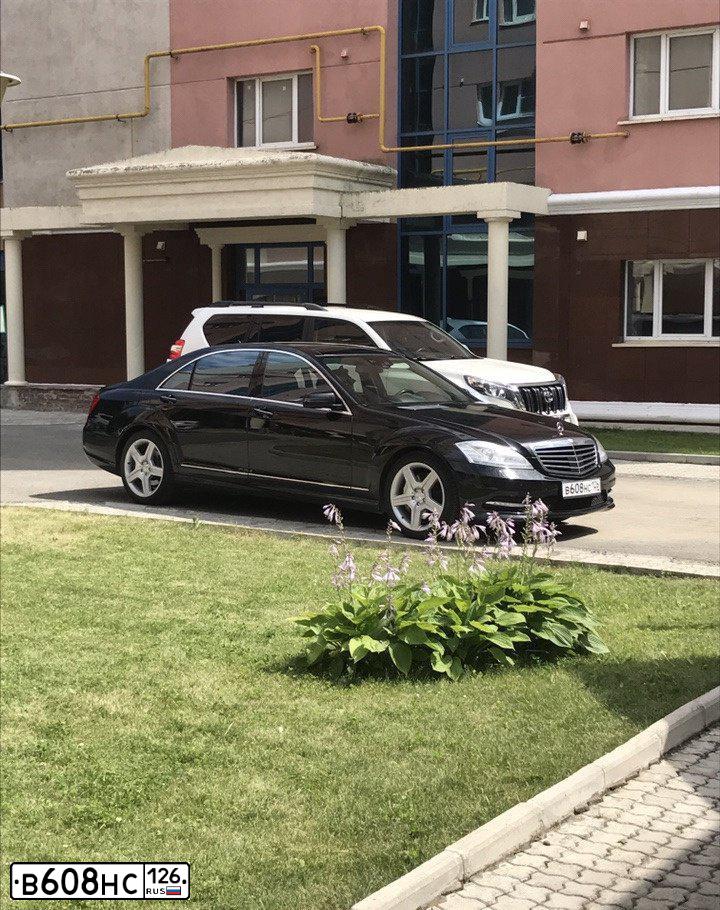 Фото автомобиля MERCEDES S-KLASSE, 2011 — госномер М965ЕО126. Цвет: ЧЕРНЫЙ
