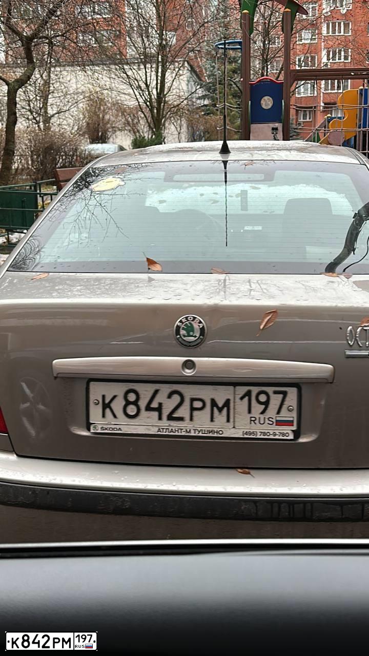 Фото автомобиля SKODA OCTAVIA, 2008 — госномер К842РМ197. Цвет: Серый