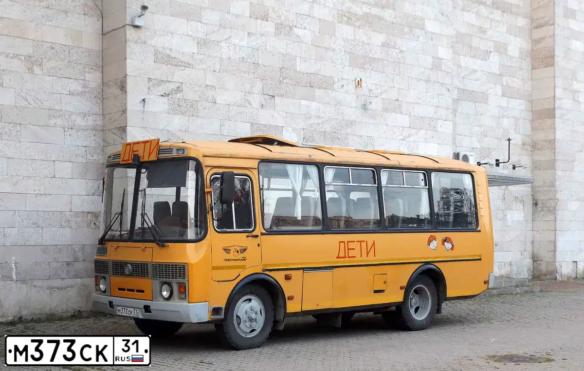 Фото автомобиля PAZ 3205, 2008 — госномер М373СК31. Цвет: ЖЕЛТЫЙ
