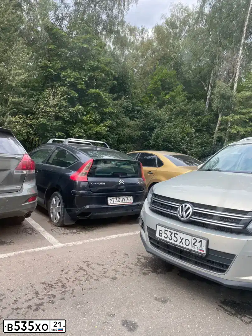 Фото автомобиля VOLKSWAGEN TIGUAN, 2013 — госномер В535ХО21. Цвет: СЕРЕБРИСТО-ЖЕЛТЫЙ