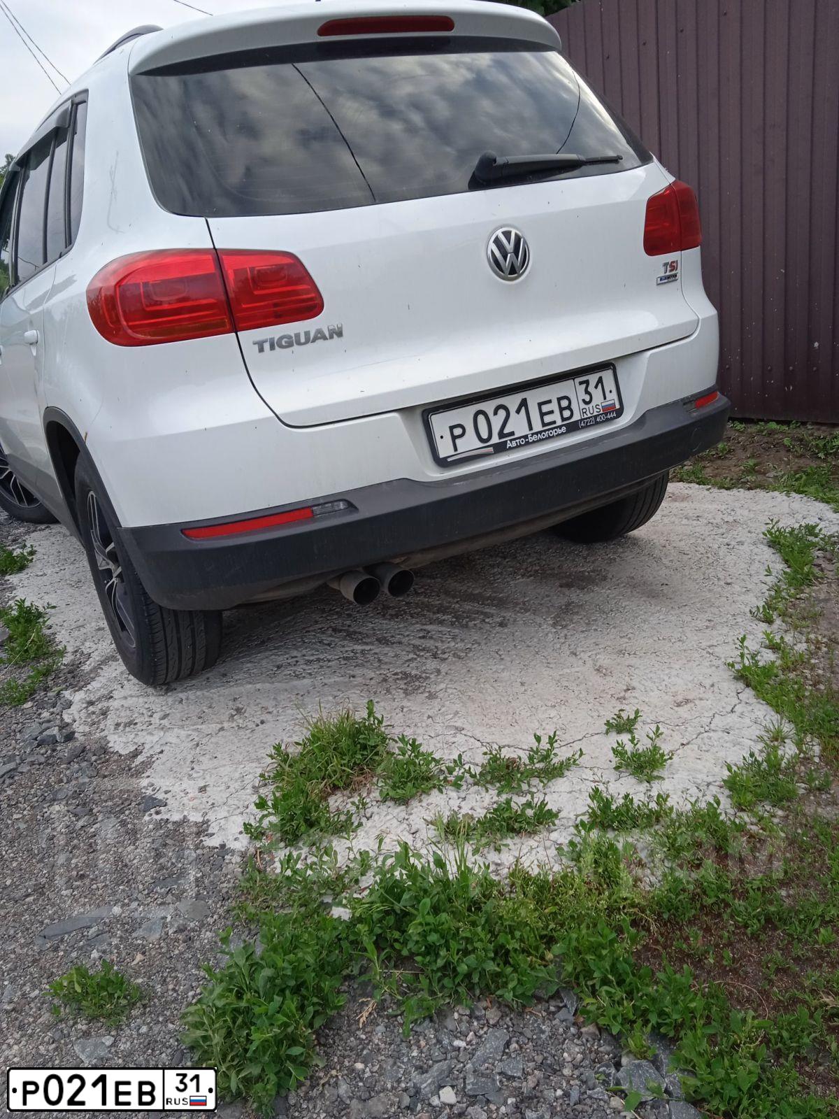 Фото автомобиля VOLKSWAGEN TIGUAN, 2016 — госномер Р021ЕВ31. Цвет: БЕЛЫЙ