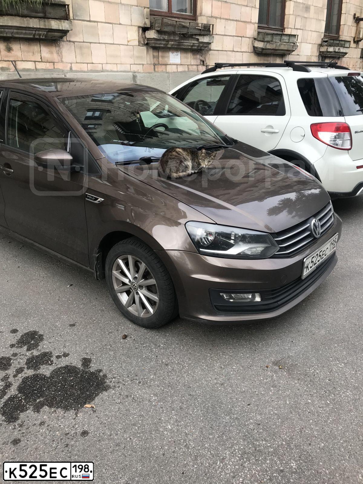 Фото автомобиля VOLKSWAGEN POLO, 2016 — госномер К525ЕС198. Цвет: Коричневый