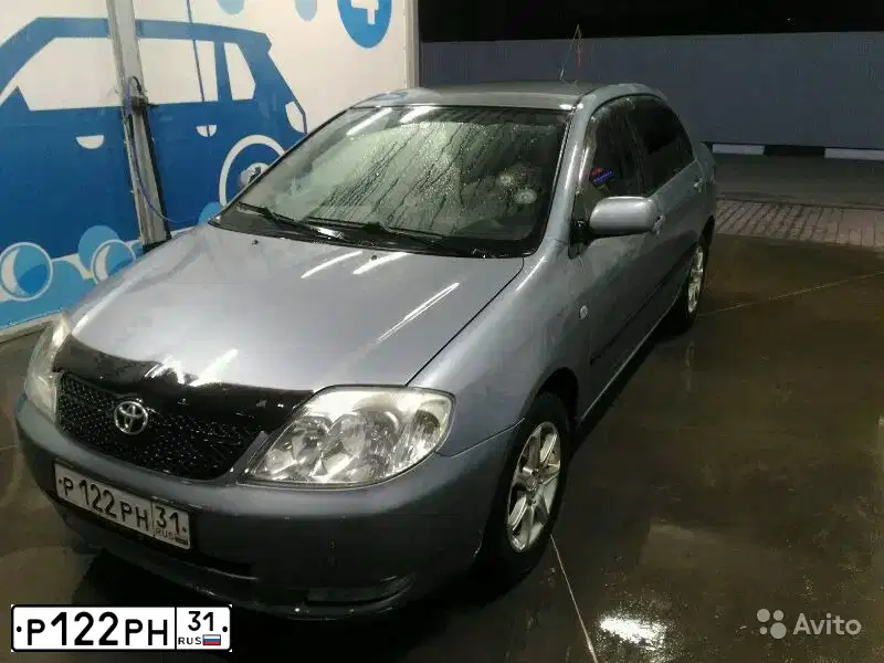 Фото автомобиля TOYOTA COROLLA, 2003 — госномер Р122РН31. Цвет: СИНИЙ