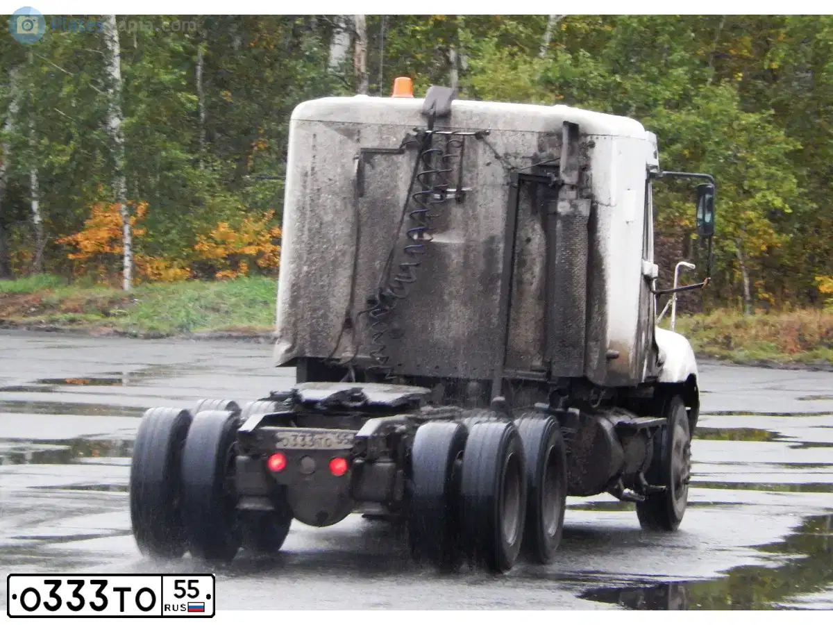 Фото автомобиля FREIGHTLINER COLUMBIA, 2002 — госномер М010КТ55. Цвет: Белый