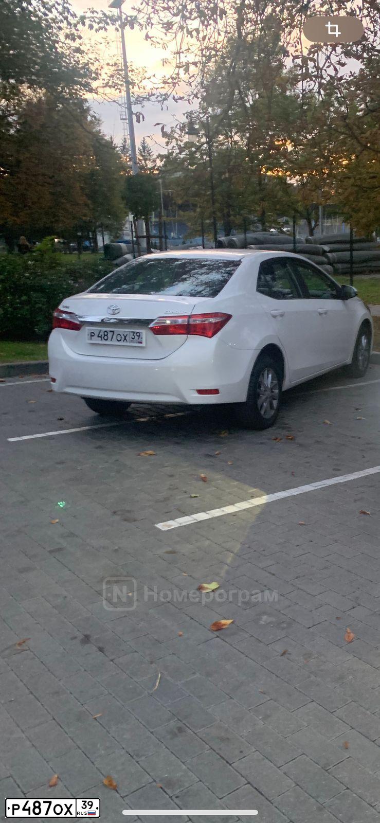 Фото автомобиля TOYOTA COROLLA, 2014 — госномер Р487ОХ39