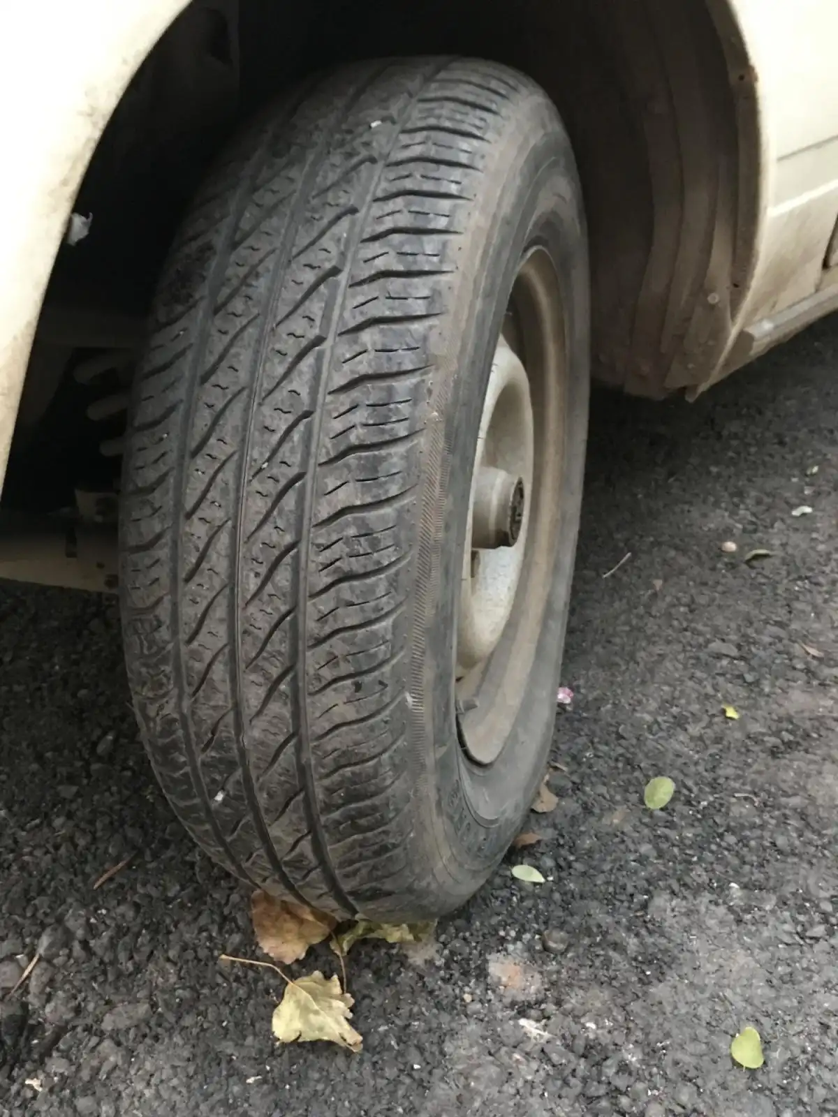 Фото автомобиля GAZ 3302 GAZEL, 2008 — госномер К277ЕМ122. Цвет: Белый
