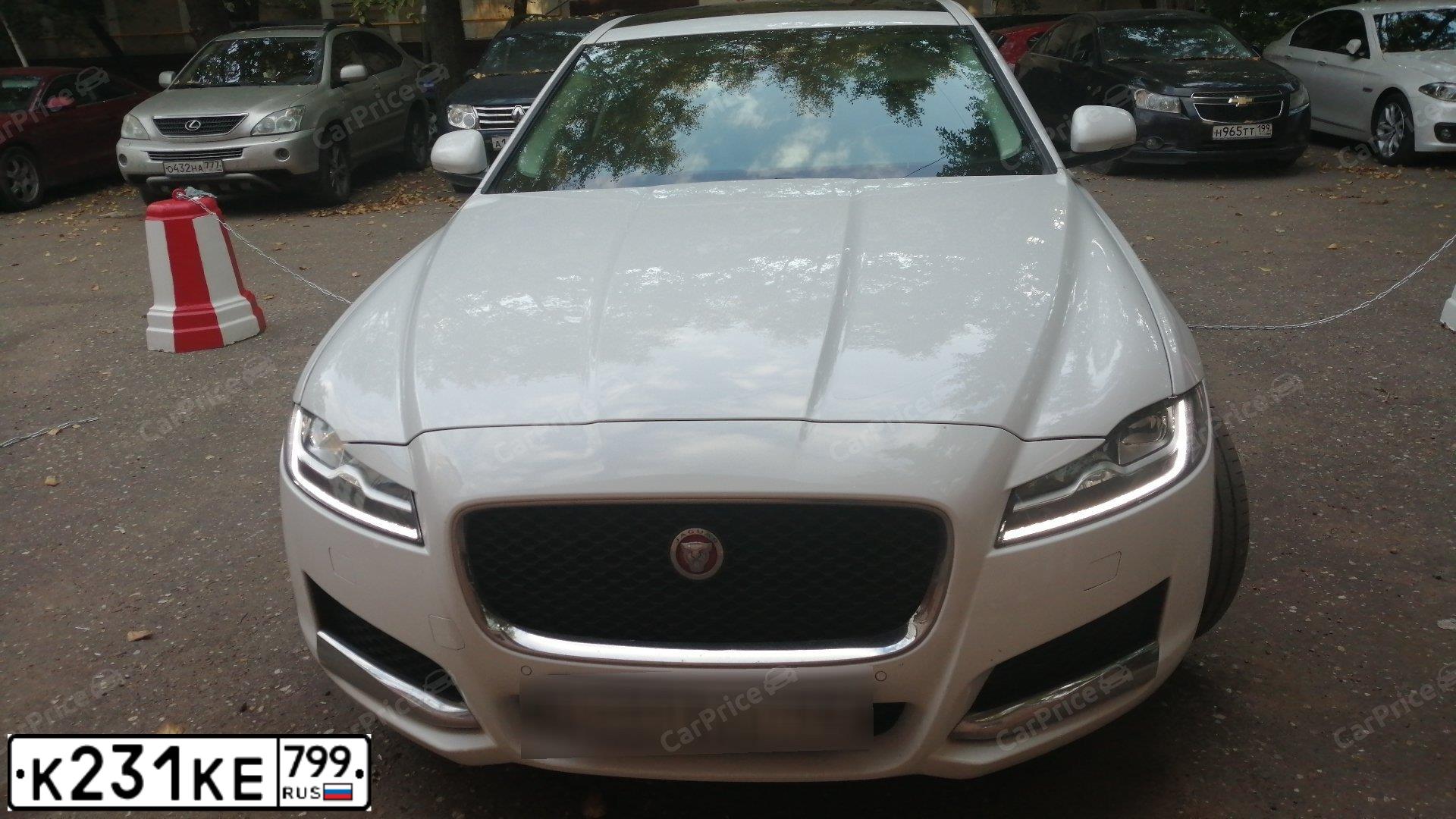Фото автомобиля JAGUAR XF-SERIE, 2016 — госномер К253ВВ550. Цвет: Белый