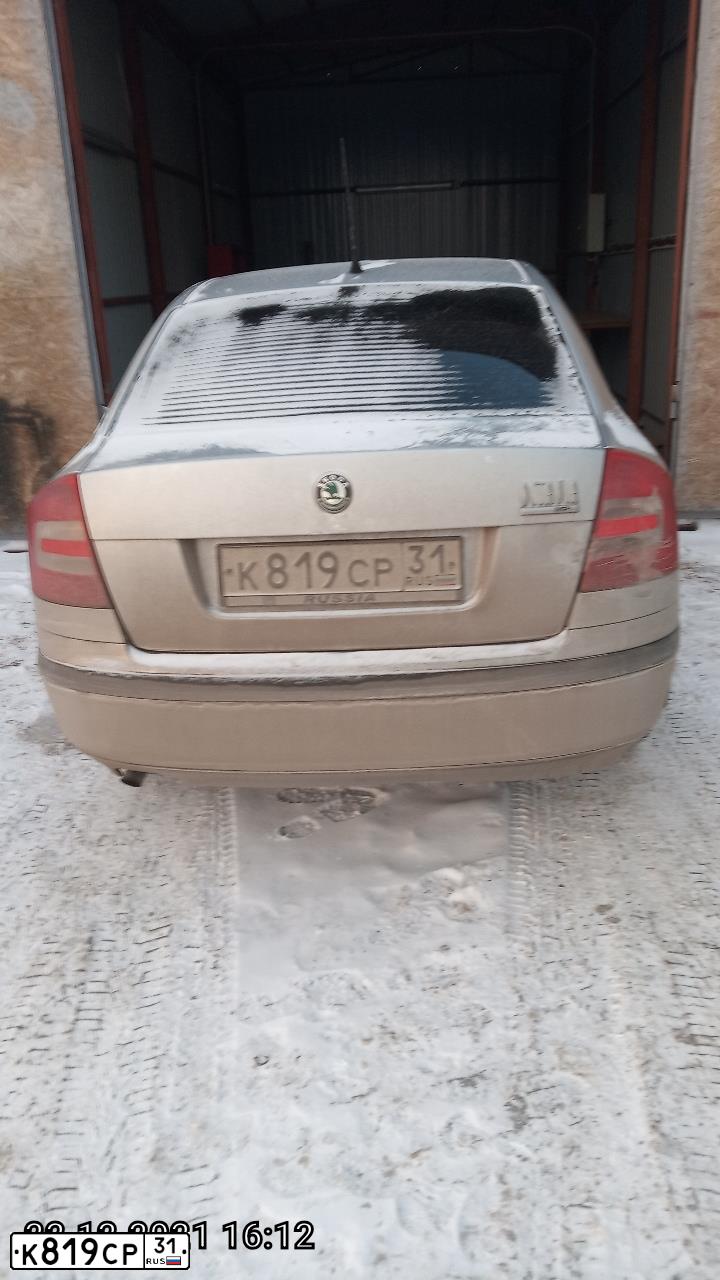 Фото автомобиля SKODA OCTAVIA, 2006 — госномер К819СР31. Цвет: Серебристый