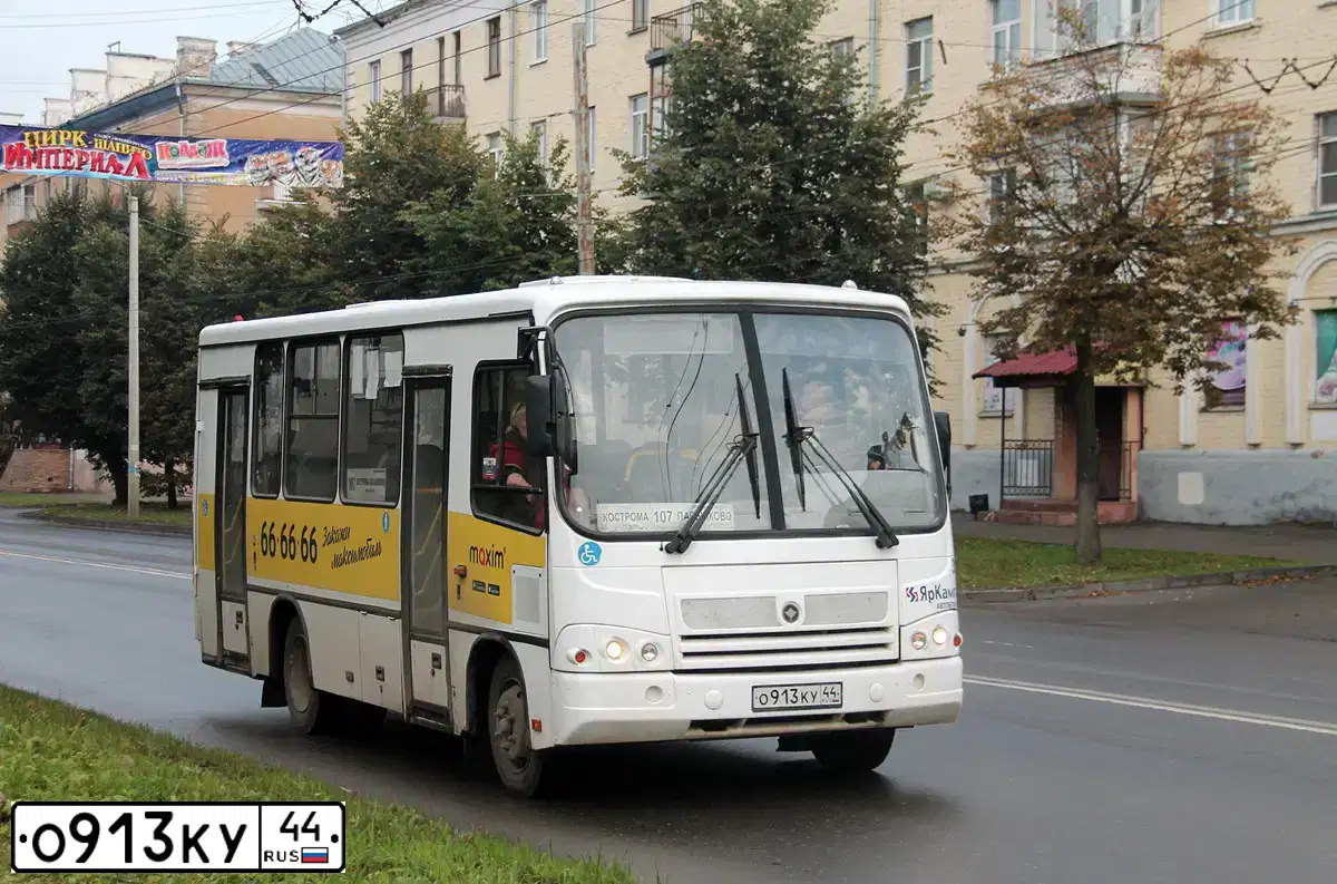 Фото автомобиля PAZ 3204, 2017 — госномер О913КУ44. Цвет: Белый