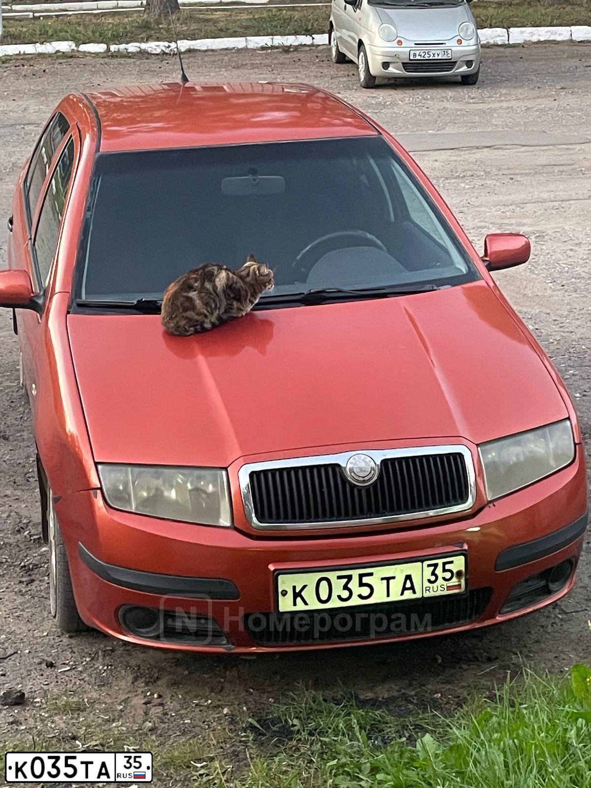 Фото автомобиля SKODA FABIA, 2007 — госномер К035ТА35. Цвет: КРАСНО-КОРИЧНЕВЫЙ
