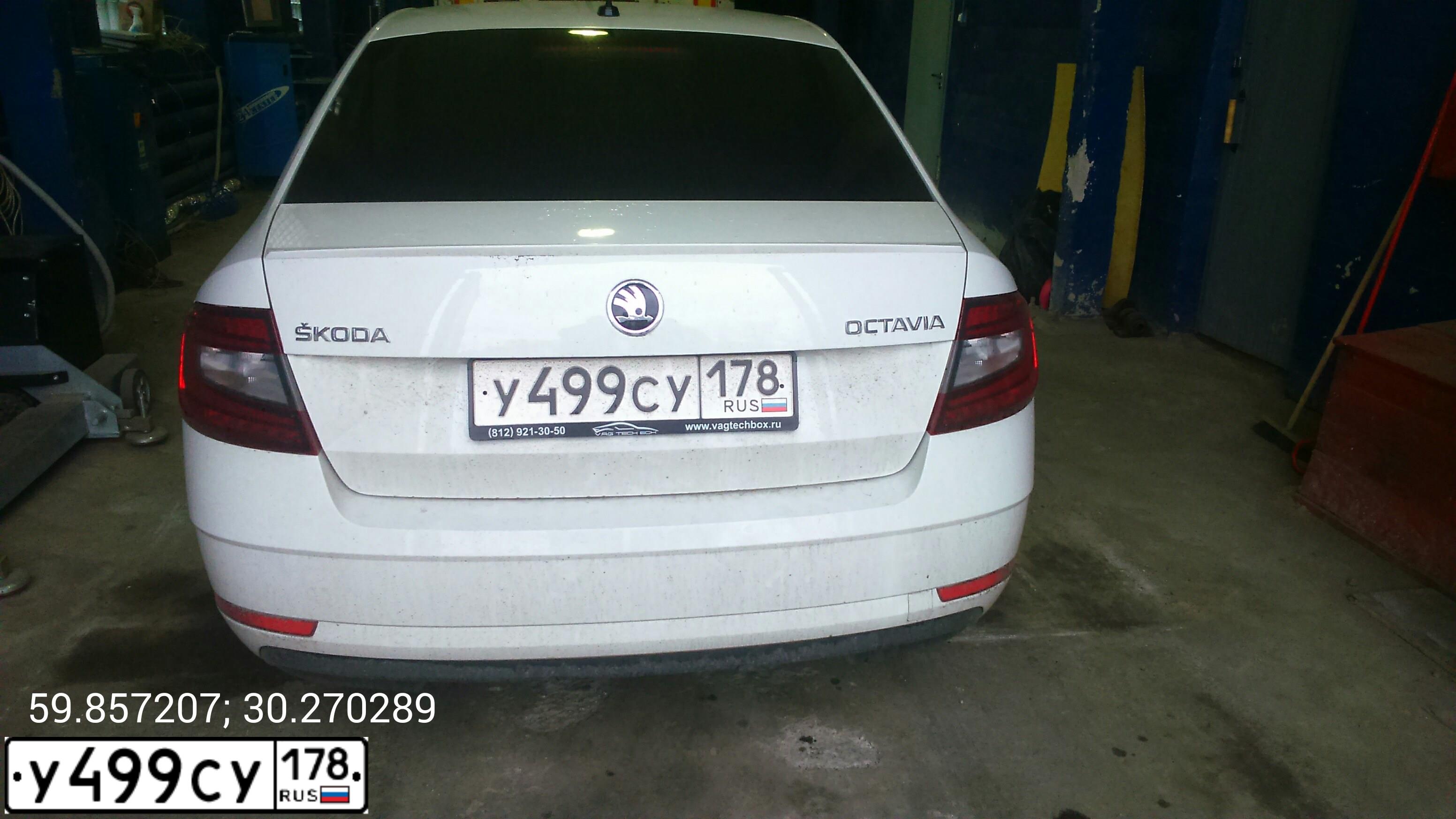Фото автомобиля SKODA OCTAVIA, 2017 — госномер У499СУ178. Цвет: Белый