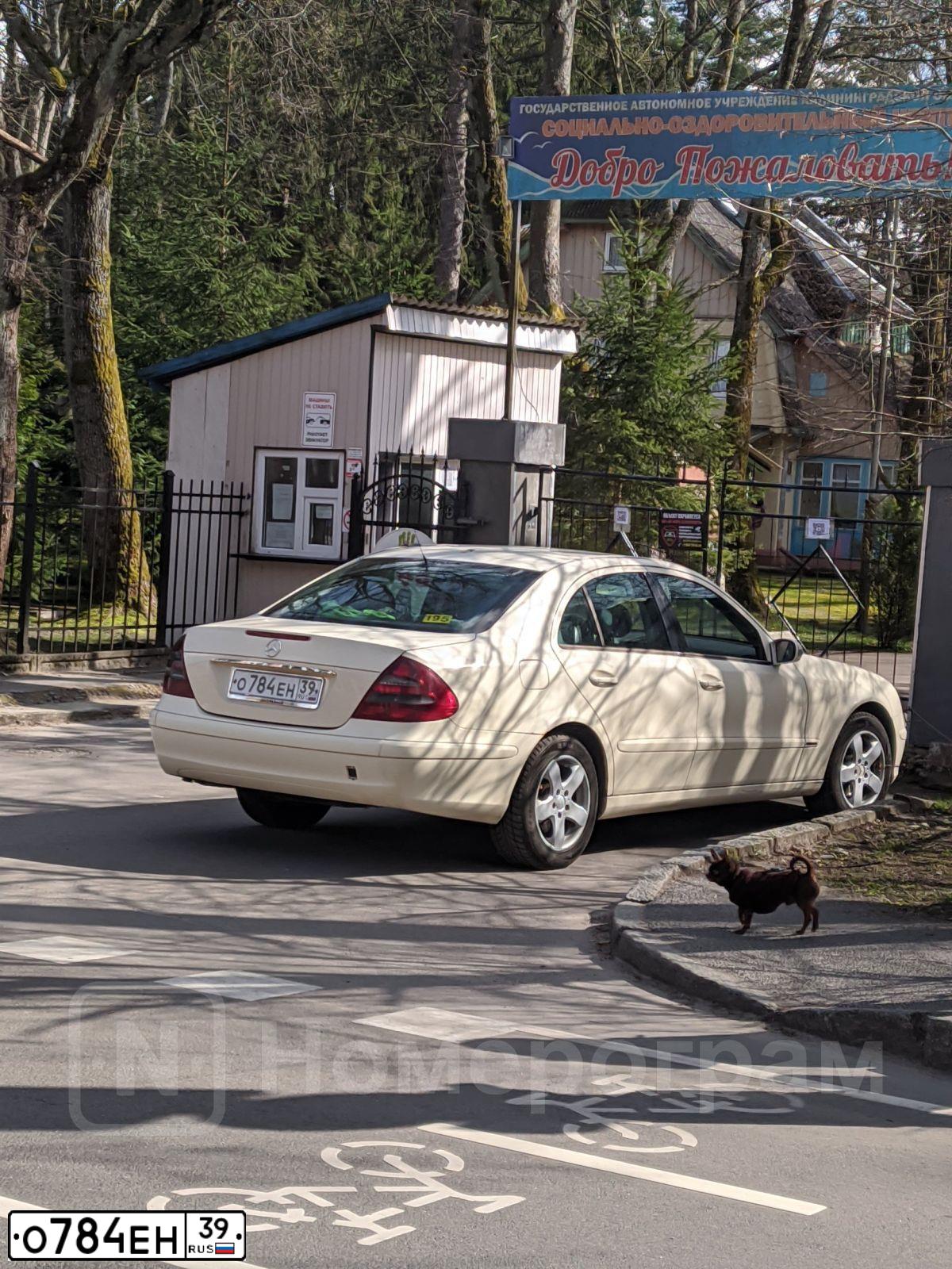 Фото автомобиля MERCEDES E-KLASSE, 2002 — госномер О784ЕН39. Цвет: БЕЖЕВЫЙ