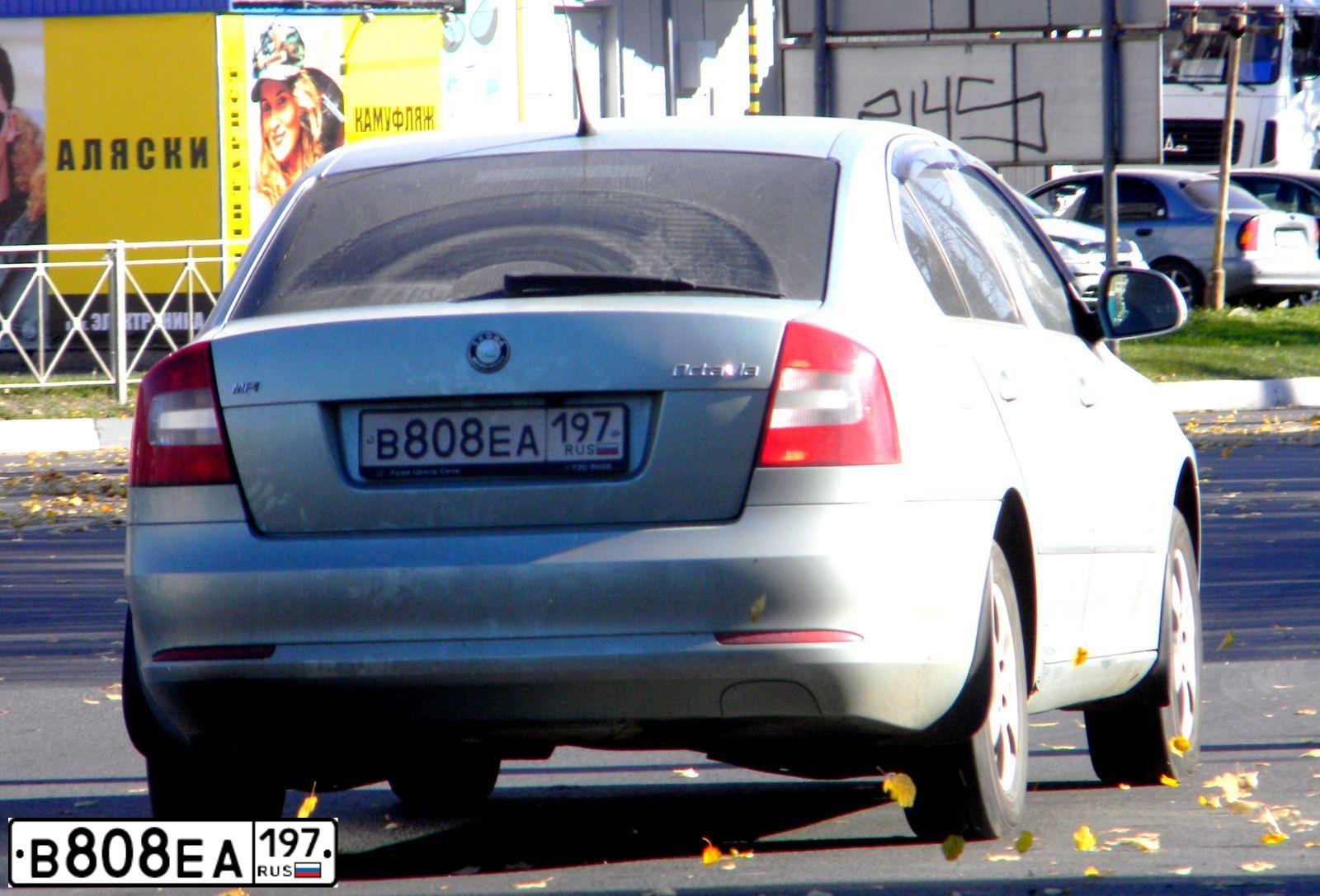 Фото автомобиля SKODA OCTAVIA, 2009 — госномер Е342АС57. Цвет: СВЕТЛО-СЕРО-ЗЕЛЕНЫЙ