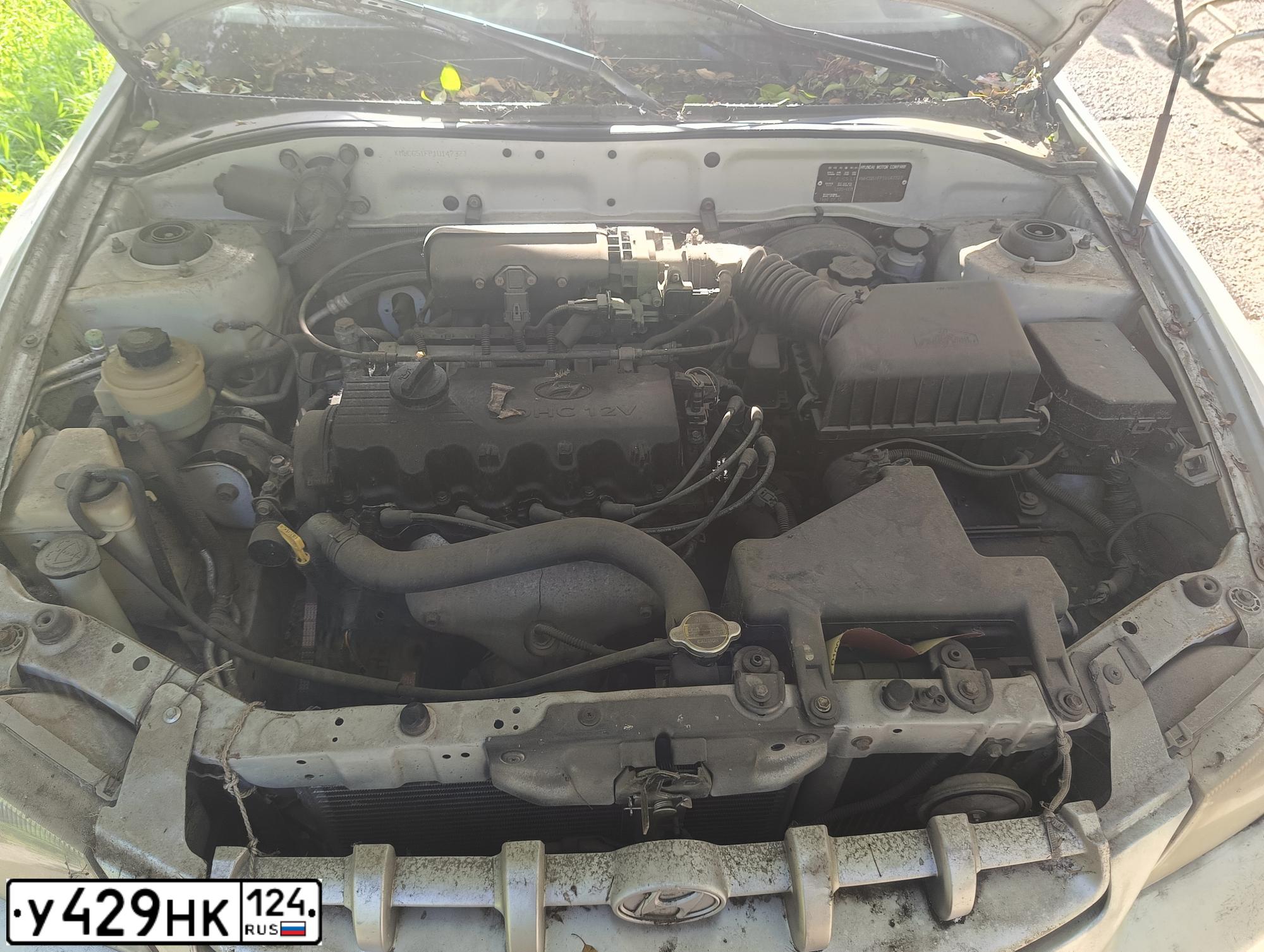 Фото автомобиля HYUNDAI I ACCENT, 2001 — госномер У429НК124. Цвет: Серый