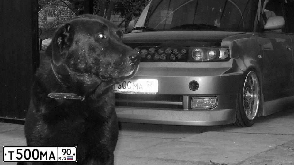 Фото автомобиля GAZ 3302 EL, 2002 — госномер К556МК90. Цвет: ЖЕЛТЫЙ