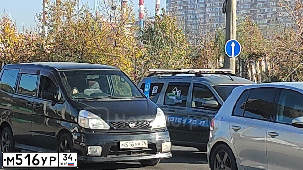Фото автомобиля FORD FOCUS, 2008 — госномер Т429АА250. Цвет: СЕРО-ГОЛУБОЙ