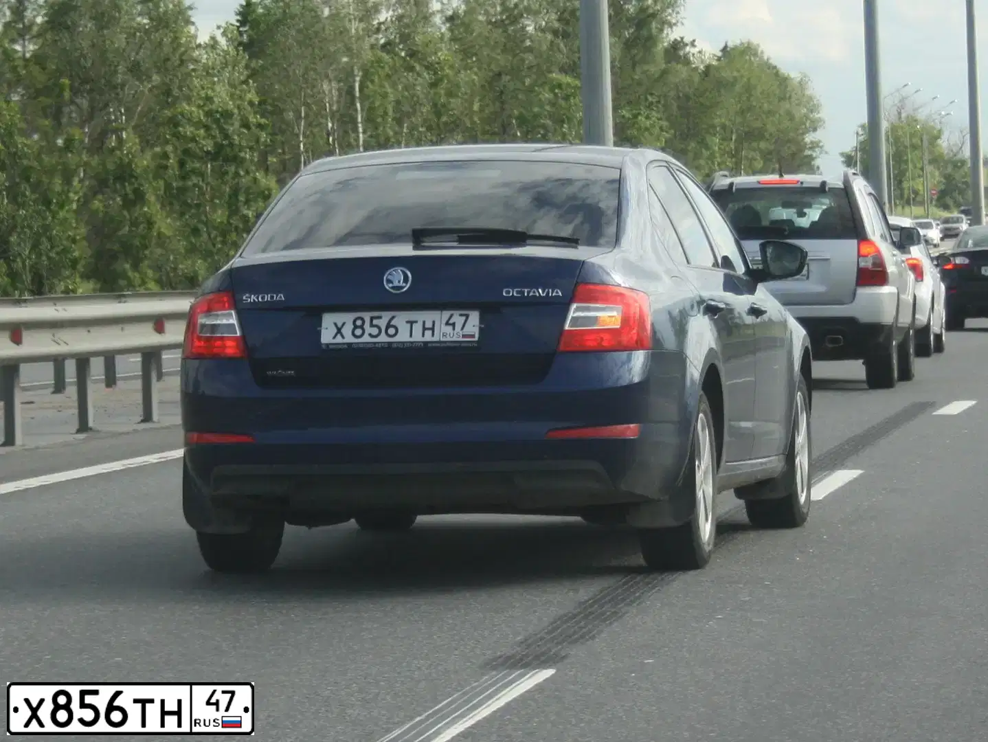 Фото автомобиля SKODA OCTAVIA, 2014 — госномер С066ХХ161. Цвет: ТЕМНО-СИНИЙ