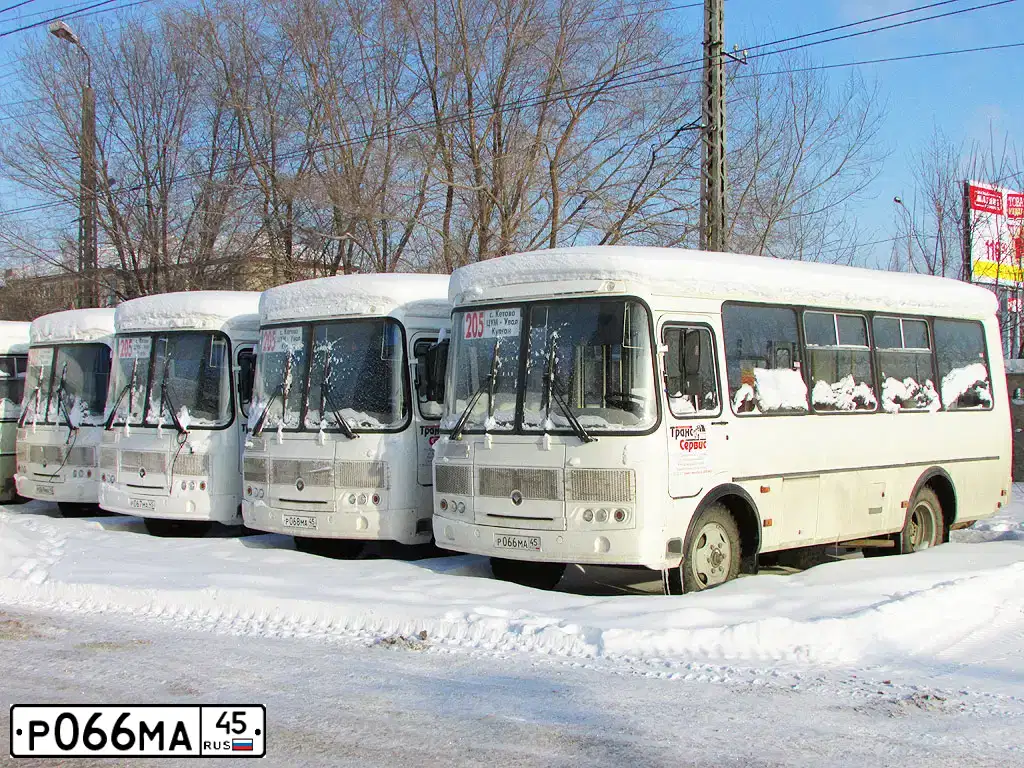 Фото автомобиля PAZ 3205, 2015 — госномер Р066МА45. Цвет: Белый