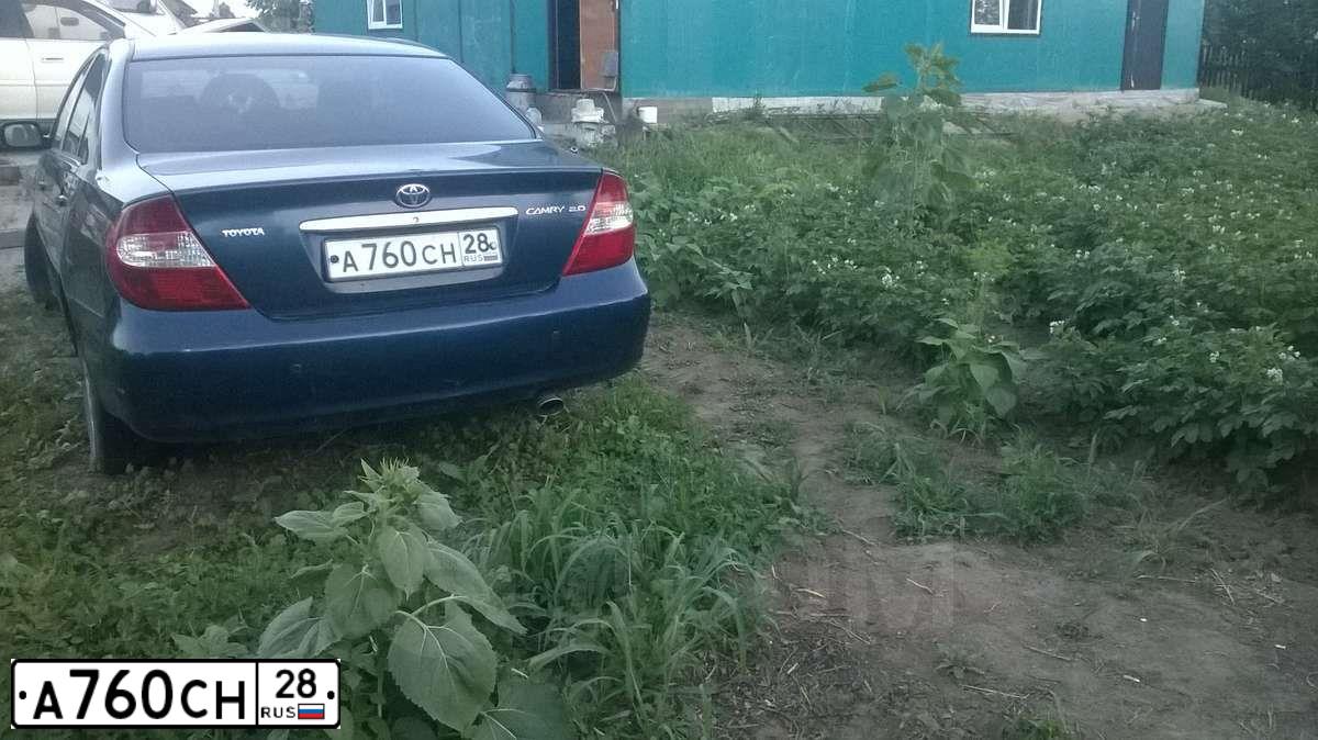 Фото автомобиля TOYOTA CAMRY, 2002 — госномер А760СН28. Цвет: СИНИЙ