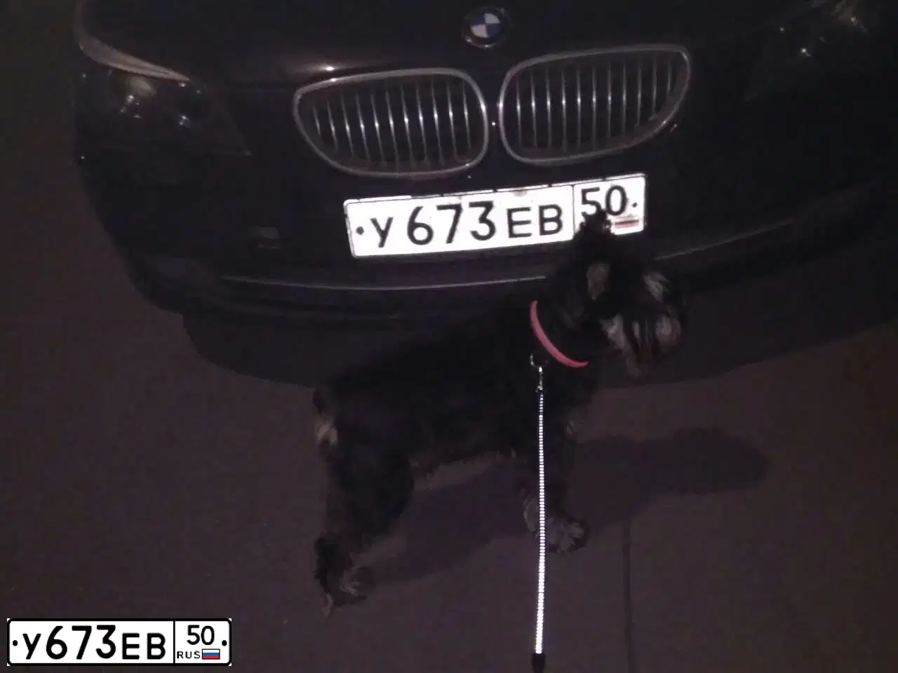 Фото автомобиля BMW SERIE 5, 2009 — госномер У673ЕВ50. Цвет: СИНИЙ ТЕМНЫЙ