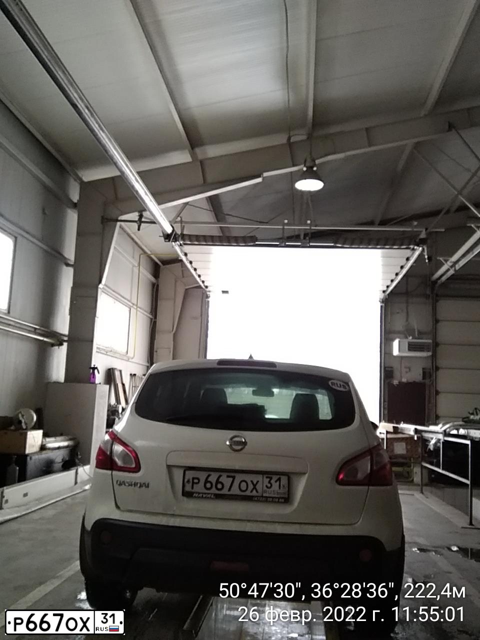 Фото автомобиля NISSAN QASHQAI, 2010 — госномер У251АХ31. Цвет: Белый