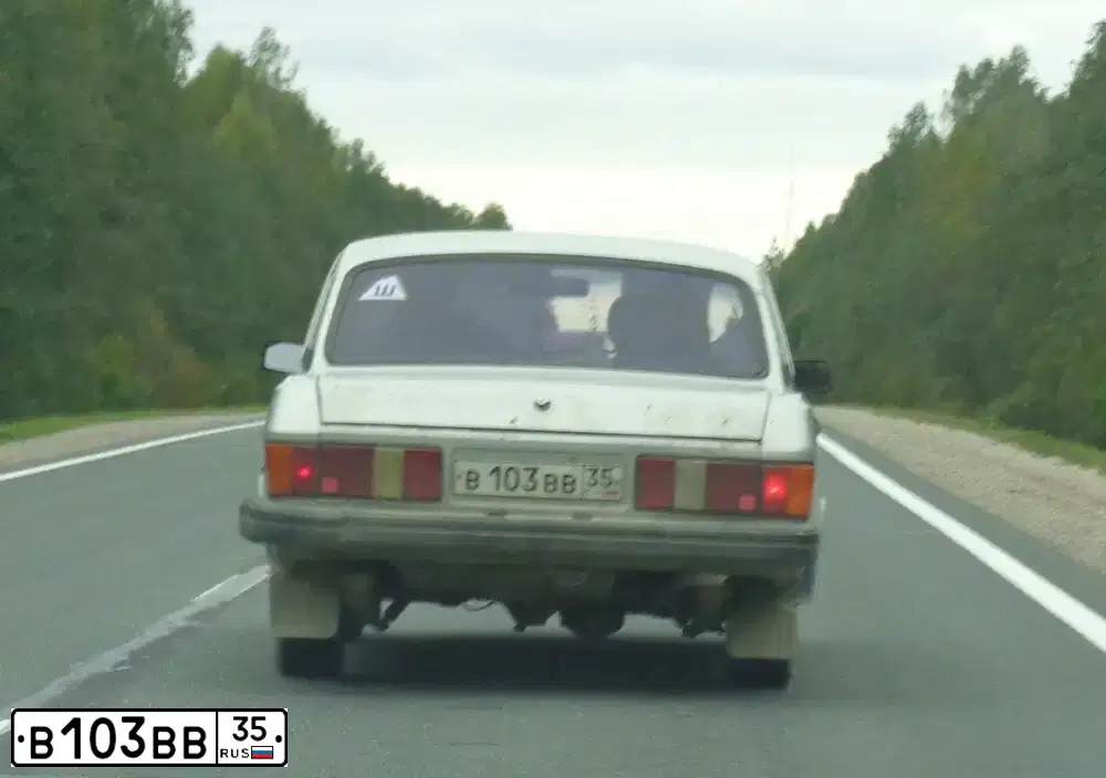 Фото автомобиля ГАЗ 31029, 1992 — госномер В103ВВ35. Цвет: СЕРО-БЕЛЫЙ