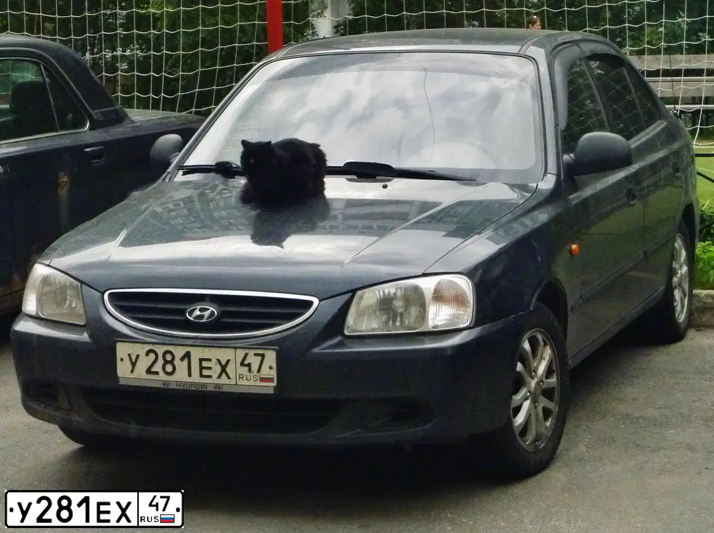 Фото автомобиля TAGAZ ACCENT, 2008 — госномер М738ОА198. Цвет: ЧЕРНЫЙ