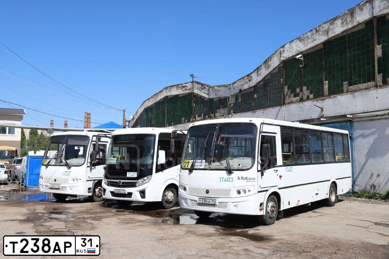 Фото автомобиля PAZ Z 3204, 2017 — госномер Т238АР31. Цвет: Белый