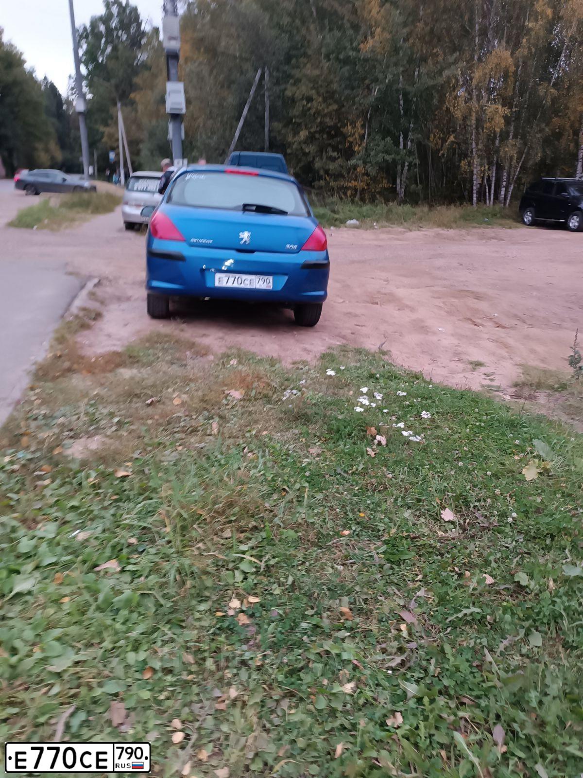 Фото автомобиля PEUGEOT 308, 2010 — госномер Е770СЕ790. Цвет: СИНИЙ