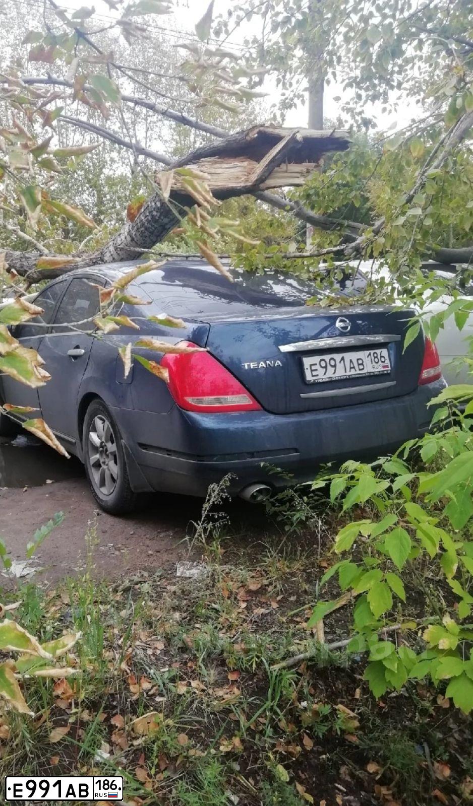 Фото автомобиля NISSAN TEANA, 2006 — госномер А482ВА155