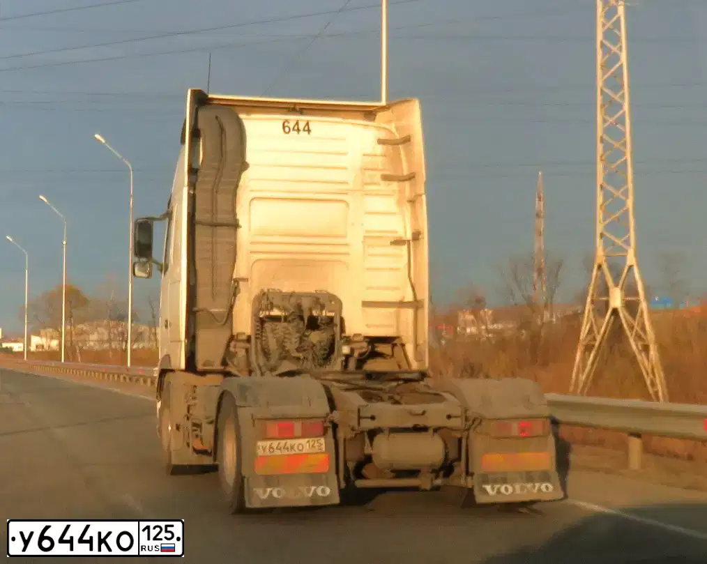 Фото автомобиля VOLVO SERIE FH /4X2/, 2011 — госномер Х204ТМ125. Цвет: Белый