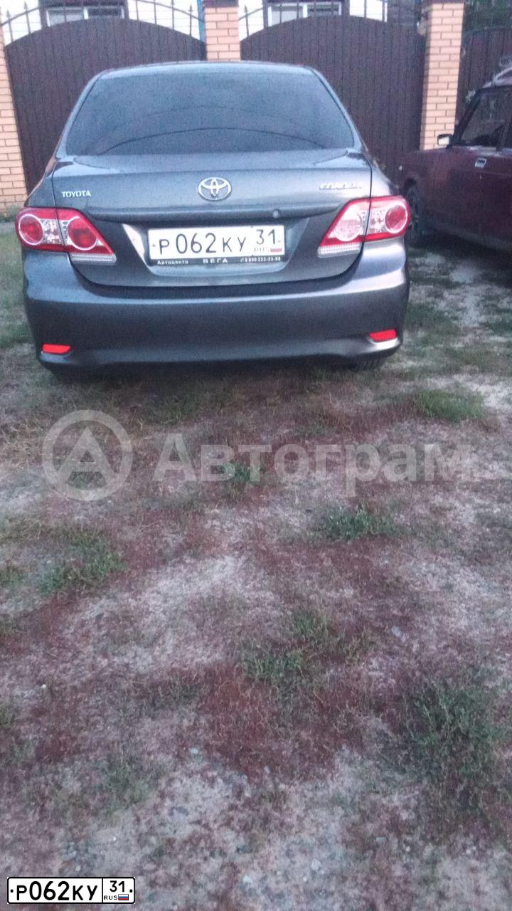 Фото автомобиля TOYOTA COROLLA, 2010 — госномер Р062КУ31. Цвет: Серый