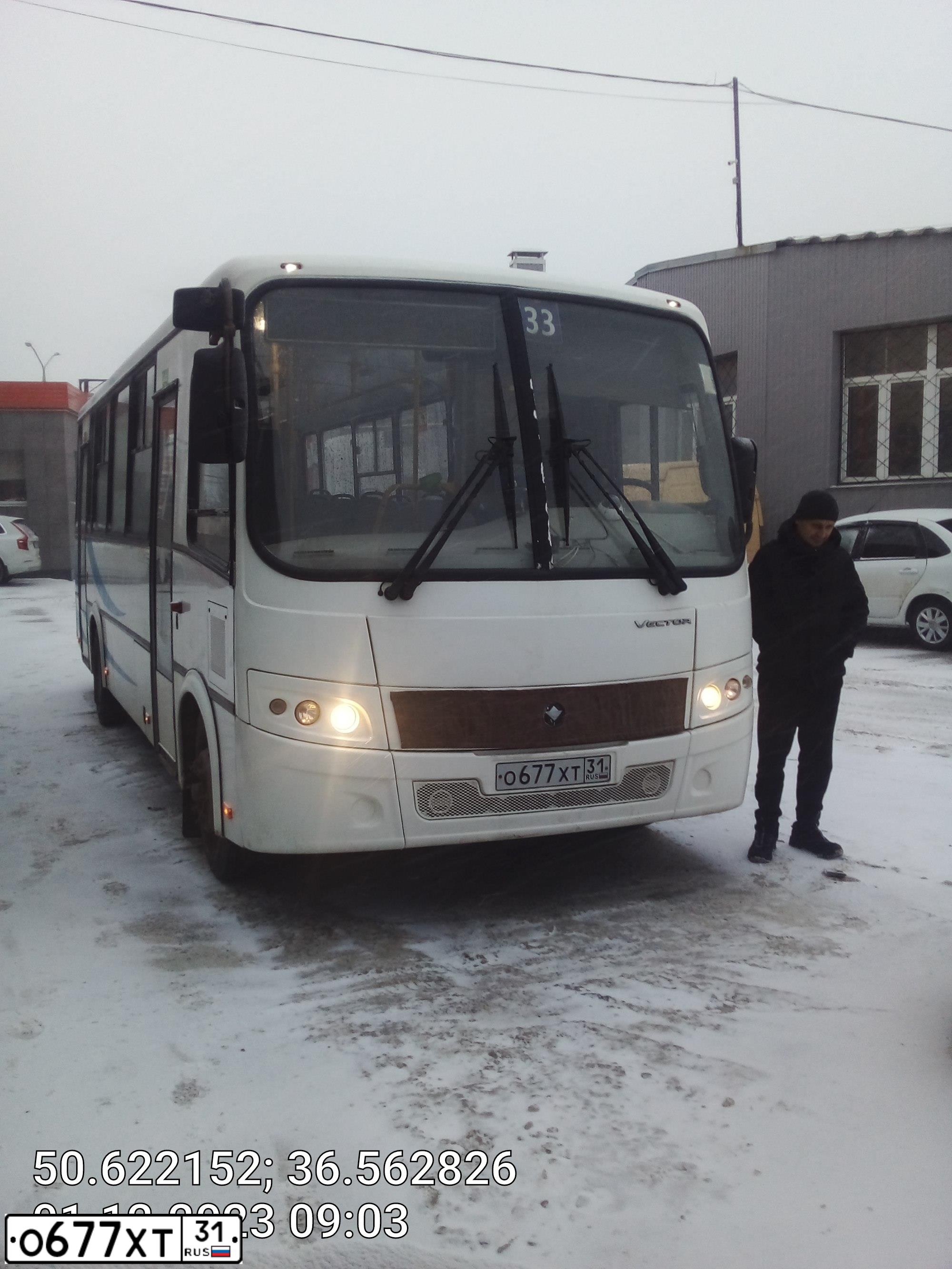Фото автомобиля PAZ 3204, 2018 — госномер О677ХТ31. Цвет: Белый